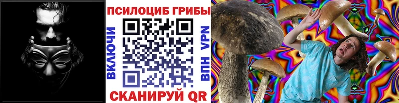 Псилоцибиновые грибы Psilocybine cubensis  купить наркоту  Фрязино 